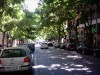 Roads & Agora